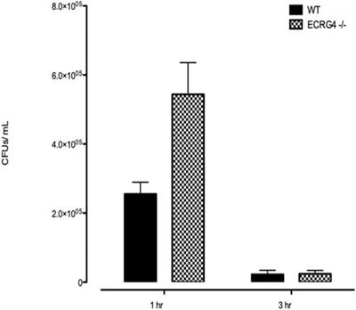 The ECRG4 cleavage product augurin binds the endotoxin receptor and influences the innate immune response during otitis media